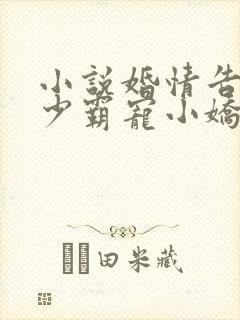 小说婚情告急顾少霸宠小娇妻