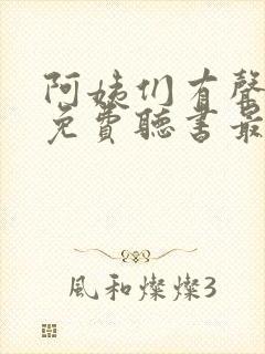 阿姨们有声小说免费听书最新章节