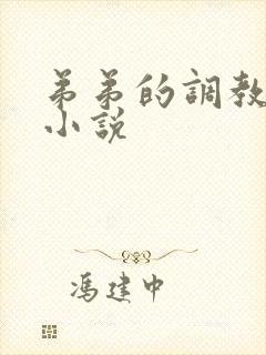 弟弟的调教日常小说