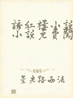 诱红楼小说原著小说免费阅读