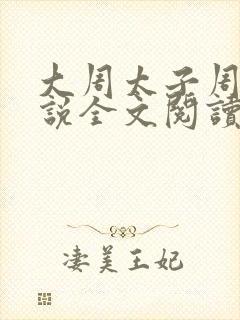 大周太子周铮小说全文阅读笔趣阁