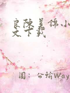 良陈美锦小说全文下载
