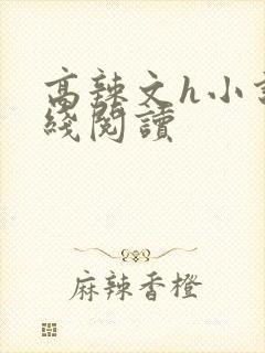 高辣文h小说在线阅读
