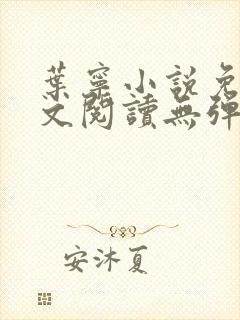 叶宁小说免费全文阅读无弹窗