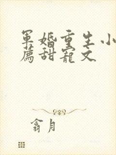 军婚重生小说推荐甜宠文