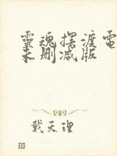 灵魂摆渡电视剧未删减版