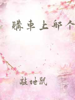 购车上哪个网