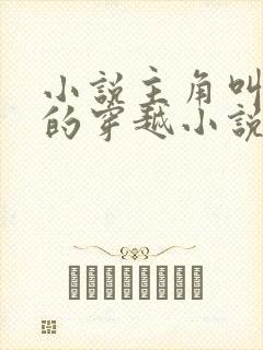 小说主角叫夏天的穿越小说