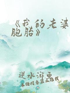 《我的老婆是双胞胎》