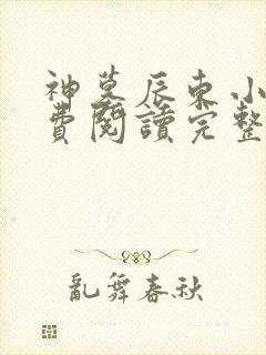 神墓辰东小说免费阅读完整版
