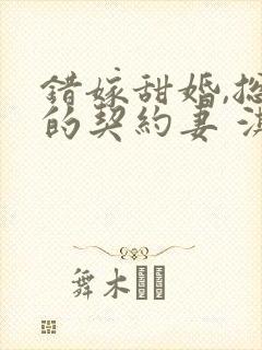 错嫁甜婚,总裁的契约妻 淇沅
