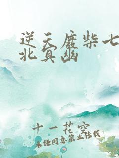 逆天废柴七小姐北冥幽