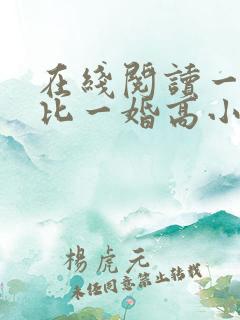 在线阅读一婚更比一婚高小说