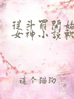 从斗罗开始俘获女神小说软件