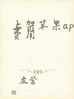 上架苹果app费用