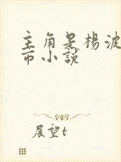 主角是杨波的都市小说 主角是杨波的都市小说