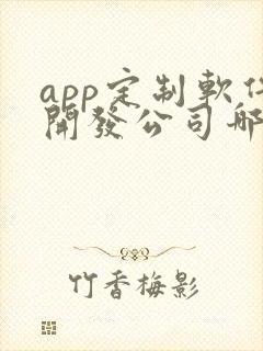 app定制软件开发公司哪家好