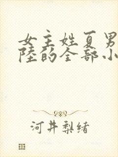 女主姓夏男主姓陆的全部小说