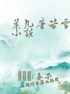 叶凡唐若雪医婿小说