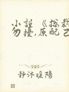 小说 《总裁请勿扰,原配己重生》