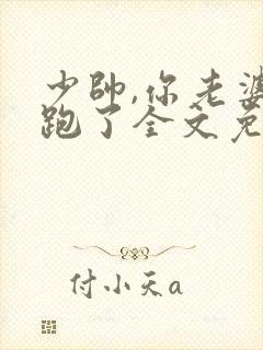 少帅,你老婆又跑了全文免费阅读