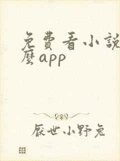 免费看小说是什么app