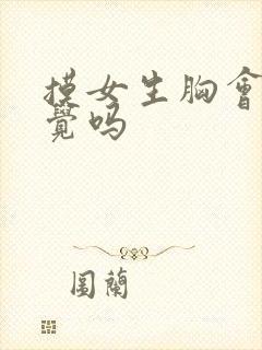 摸女生胸会有感觉吗 摸女生胸会有感觉吗