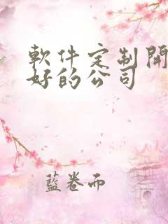 软件定制开发的好的公司