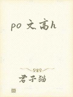 po 文高h