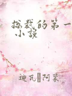 总裁的第一宠妻 小说