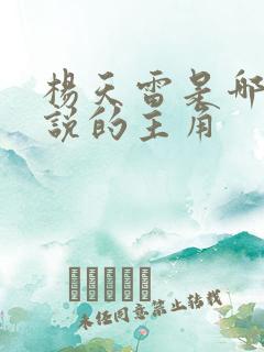 杨天雷是哪部小说的主角