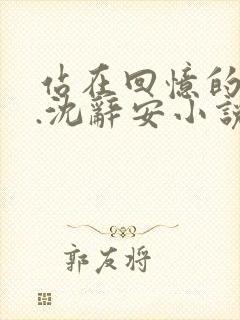站在回忆的尽头.沈辞安小说