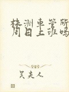 株洲车管所周六周日上班吗
