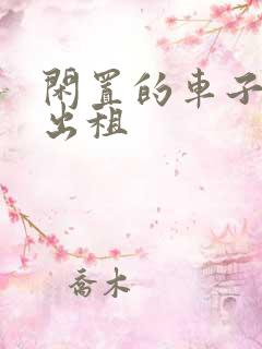 闲置的车子怎么出租