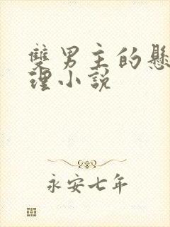 双男主的悬疑推理小说
