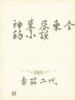 神墓辰东全免费的小说
