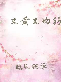 又黄又肉的小说