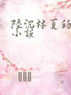 陆沉林夏的小说小说