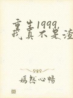 重生1999,我真不是渣男啊