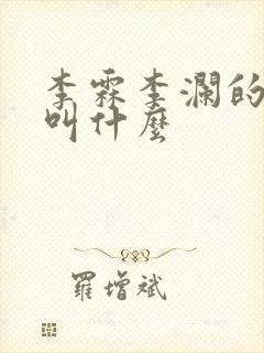 李霖李澜的小说叫什么