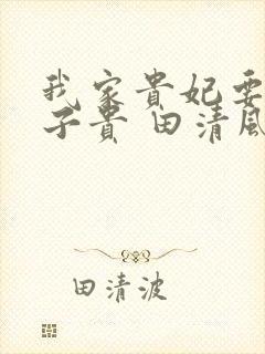 我家贵妃要母凭子贵 田清风