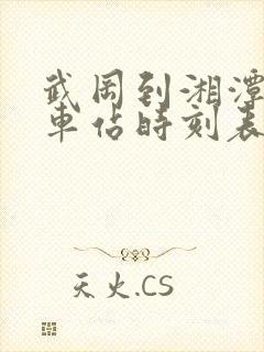 武冈到湘潭的汽车站时刻表