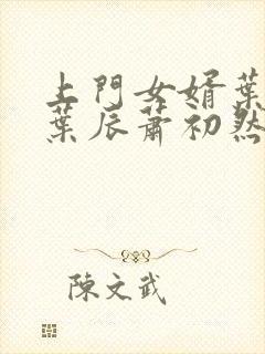 上门女婿叶辰 叶辰萧初然