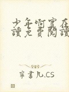 少年啊宾在线阅读免费阅读完整版