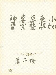 神墓辰东小说免费完整版txt