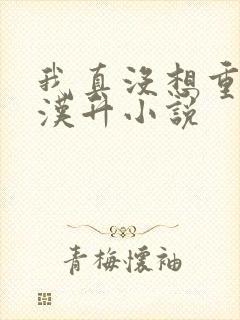 我真没想重生陈汉升小说