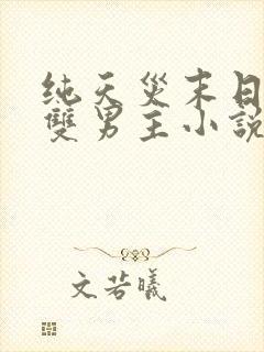 纯天灾末日空间双男主小说