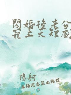 闪婚后老公每天宠上天短剧全文免费