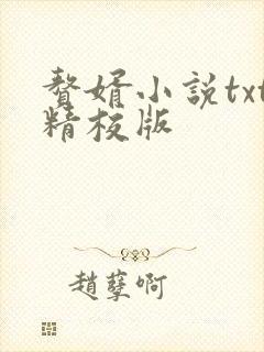 赘婿小说txt精校版