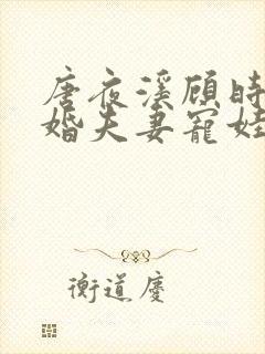 唐夜溪顾时暮闪婚夫妻宠娃日常